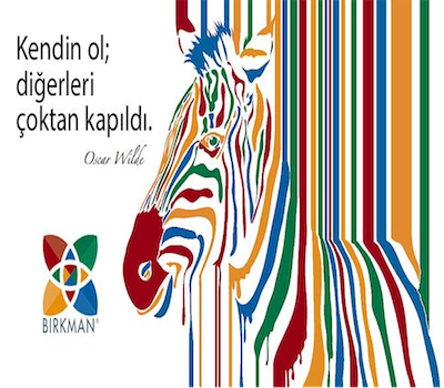 Birkman SelfDiscovery Koçluk Paketi (bireysel)